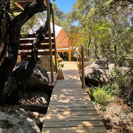 Luxury tent Corsica Natura #1 Coti-Chiavari (Corsica)