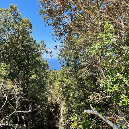 Οργανωμένο κάμπινγκ Corsica Natura #1 Coti-Chiavari (Corsica)
