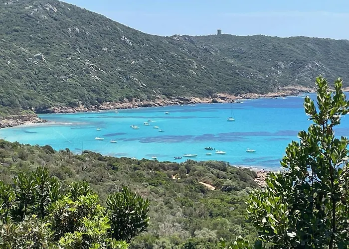 Corsica Natura #1 럭셔리텐트 *