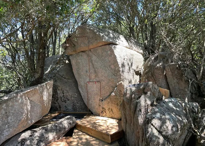 Corsica Natura #1 코티치아바리